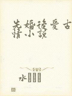 先婚后爱古代言情小说封面