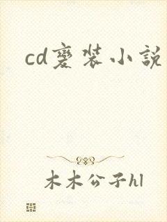 cd变装小说