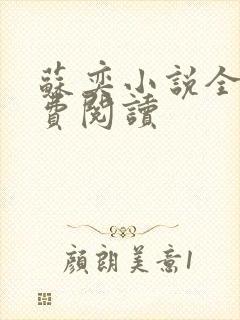 苏奕小说全文免费阅读封面