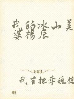 我的冰山美女老婆杨辰