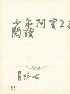 少年阿宾2在线阅读封面