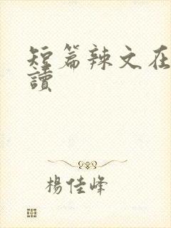短篇辣文在线阅读