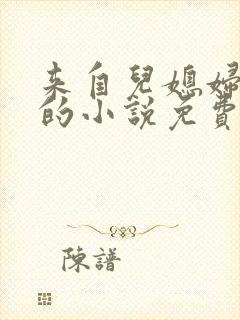 来自儿媳妇的爱的小说免费阅读全文封面