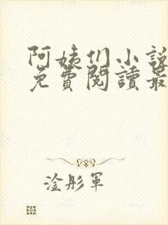 阿姨们小说全文免费阅读最新章节