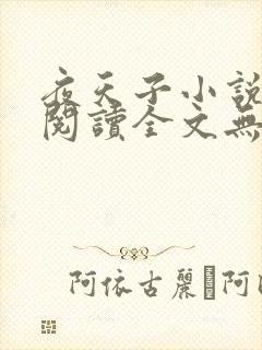 夜天子小说免费阅读全文无删减