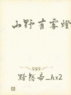 山野有雾灯封面
