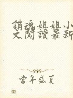 销魂姐姐小说全文阅读最新章节列表