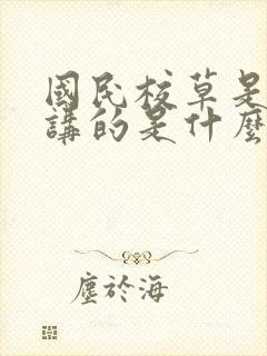 国民校草是女生讲的是什么