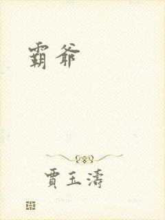 霸爷封面