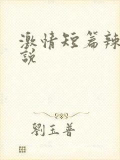 激情短篇辣文小说