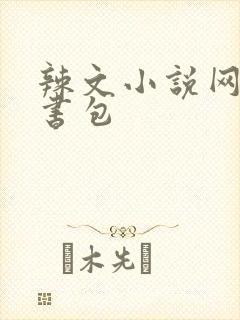 辣文小说网第二书包