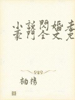 小说闪婚老公是豪门全文免费阅读