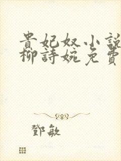 贵妃奴小说by柳诗婉免费阅读笔趣阁