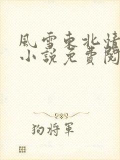 风雪东北情原著小说免费阅读无弹窗