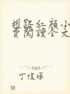 权路红颜小说免费阅读全文