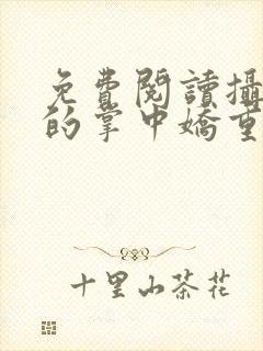 免费阅读摄政王的掌中娇重生了