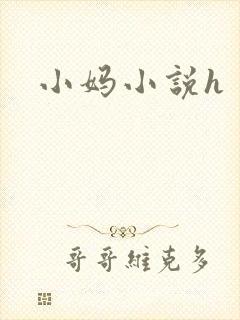 小妈小说h封面