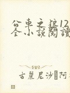 公车之狼12集全小说阅读封面