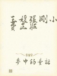 王媛张刚小说免费正版