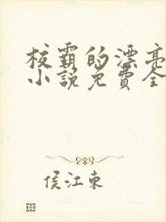 校霸的漂亮继父小说免费全文阅读