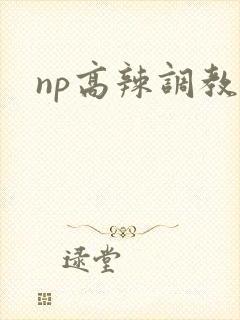 np高辣调教文