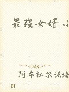 最强女婿 小说封面
