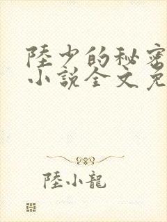 陆少的秘密恋人小说全文免费阅读