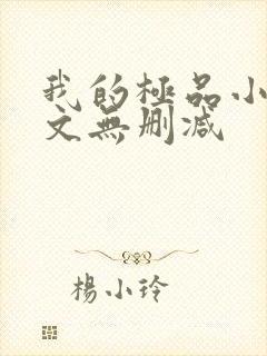 我的极品小姨全文无删减封面