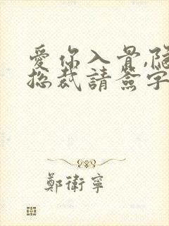 爱你入骨,隐婚总裁请签字完整版