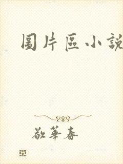 图片区小说区封面