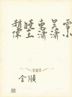 赵晓东吴雪晴郑伟王潇潇小说名字封面