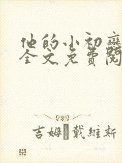 他的小初恋小说全文免费阅读