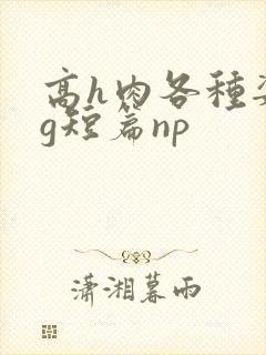 高h肉各种姿势g短篇np封面