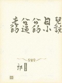 老公公日儿媳妇的逼的小说封面