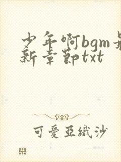 少年啊bgm最新章节txt