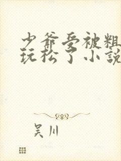少爷受被粗汉H玩松了小说封面
