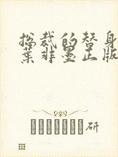 总裁的替身前妻叶非墨正版封面