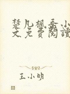 楚凡枫乔小说全文免费阅读最新章节封面