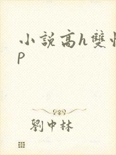 小说高h双性np