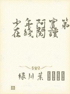 少年阿宾第二部在线阅读封面