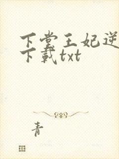 下堂王妃逆袭记下载txt