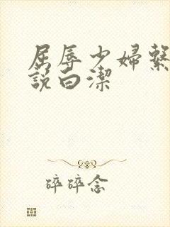屈辱少妇系列小说白洁封面