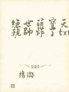 绝世萌宝天才娘亲帅炸了txt