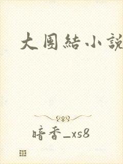 大团结小说阅读