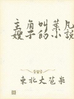 主角叫叶凡七个嫂子的小说