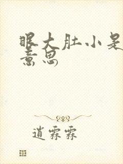 眼大肚小是什么意思
