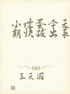 小坏蛋今天危险期快拔出来