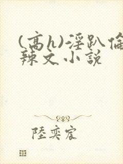 (高h)淫趴伦辣文小说