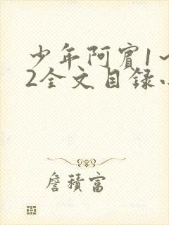 少年阿宾1～72全文目录小说
