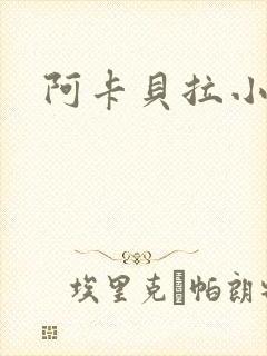 阿卡贝拉小说